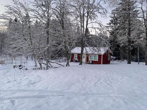 冬天的Gästhus i Borås (Guest House)