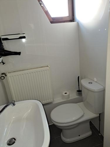 布罗特罗德Ferienwohnung Gesindestube的白色的浴室设有卫生间和水槽。