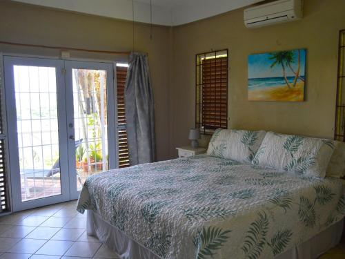 CharlotteSeascape Villa 2BR with Stunning Caribbean Sea View的一间卧室设有一张床和一个滑动玻璃门