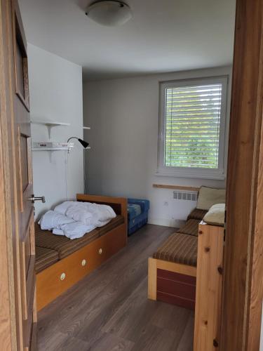 BlatnicaBlatnica Bee494 Apartment的客房设有两张床和窗户。