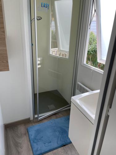 鲁西隆地区卡内Mobil home 6 à 8 personnes SANS Fun Pass的带淋浴和蓝色垫的浴室