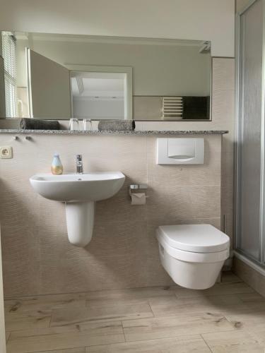 塞巴特阿尔贝克德兰士瓦别墅旅馆的一间带水槽、卫生间和镜子的浴室