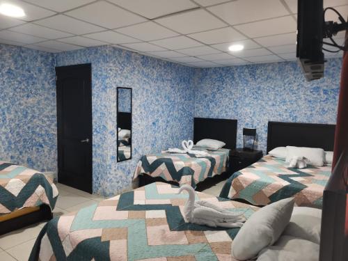 福尔图纳Hotel Palmera Real Hot Springs的蓝色壁纸客房内的两张床