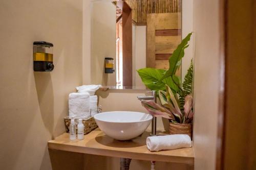 莱蒂西亚Biohotel Arara River的一间带碗水槽和镜子的浴室