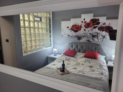 扎布热Apertment Wenus的一间卧室配有一张带红色枕头的床和一扇窗户