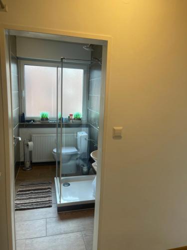 赖讷Schönes Appartement in Rheine Zentrumsnah的一间带玻璃淋浴和卫生间的浴室