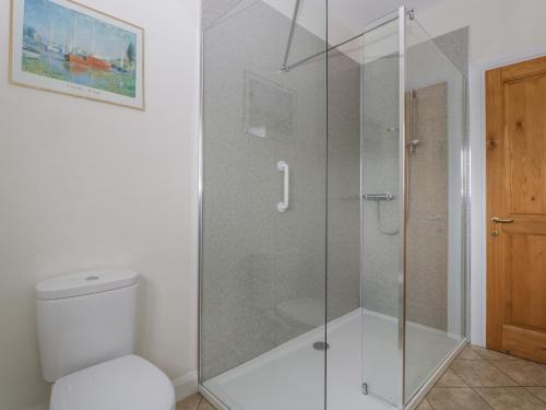 Queen CamelRectory Farm Lodge的一间带卫生间的浴室内的玻璃淋浴间