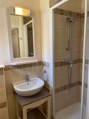 马莱莫尔Maison 3 pièces domaine golf Pont Royal的浴室配有盥洗盆和带镜子的淋浴