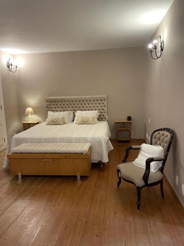 蒂拉登特斯Pousada Pedra Pimenta的一间卧室配有一张大床和一把椅子