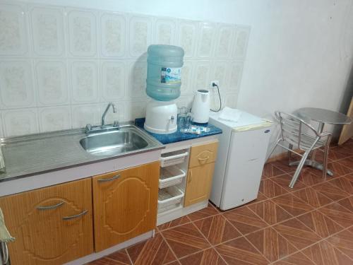 卡拉马Habitación cerca aeropuerto的一间带水槽和冰箱的小厨房