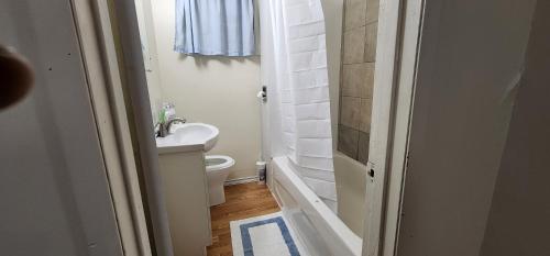 温尼伯ChessKings Guest House - Unit 1的一间带水槽和卫生间的小浴室