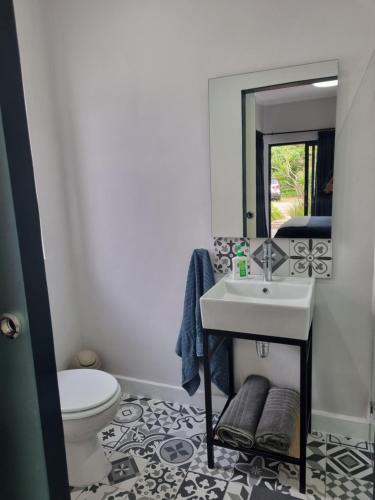 克尼斯纳12onParkesLane的一间带水槽、卫生间和镜子的浴室