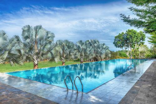 汉班托塔Birds Resort Hambantota的一座棕榈树环绕的大型游泳池