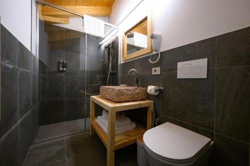 泰尔拉戈TerrazzaPaganella的一间带水槽和淋浴的浴室