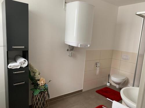 雷根斯堡Hostel am Ostentor的一间带卫生间和水槽的浴室
