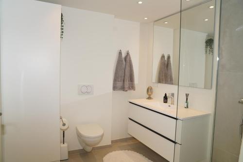 NørresundbyAalborg limfjorden udsigt的白色的浴室设有卫生间和水槽。