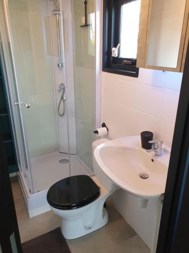 赫劳Vintage chalet Fereale II的浴室配有卫生间、盥洗盆和淋浴。
