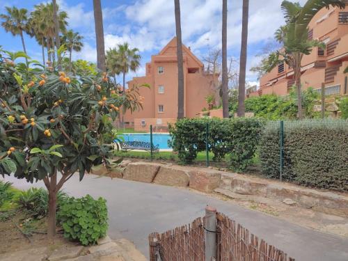 卡萨雷斯Apartamento con piscina的 ⁇ 旁一棵橘子树