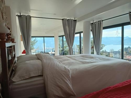 科利比塔Cabana de pe Stanca的一间卧室设有一张床和一个大窗户