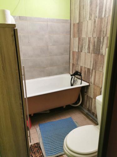 塔林Akadeemia tee appartamendid的带浴缸和卫生间的浴室。