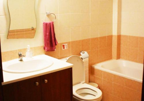 拉纳卡Marina Apartment 4的浴室配有盥洗盆、卫生间和浴缸。