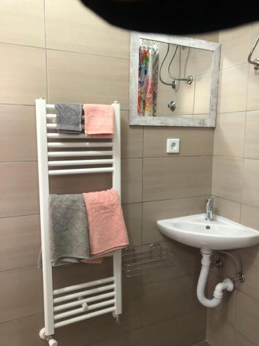 萨拉热窝Miki的一间带水槽和毛巾架的浴室