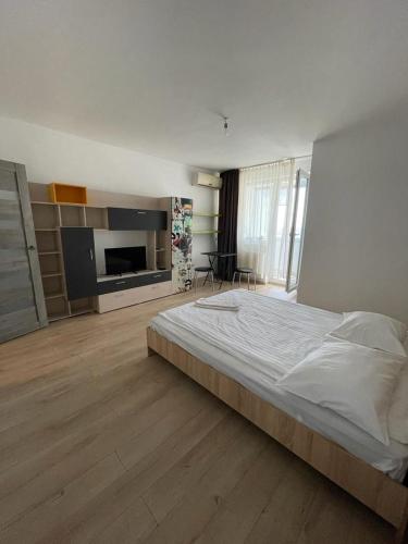 Bega Cirumvalatiunii One Room Apartment- 4平面图