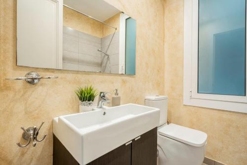 巴塞罗那SAGRADA FAMILIA C&D Lovely Apartment的一间带水槽、卫生间和镜子的浴室
