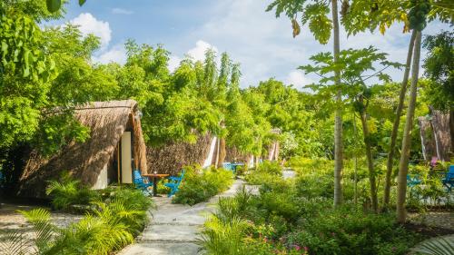 巴鲁岛Santuario Beach Hostel的树木繁茂的房屋前的花园