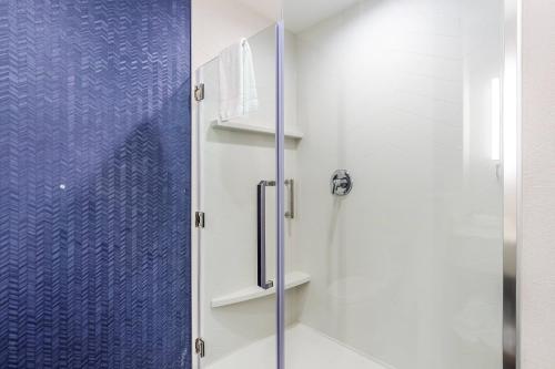 CoppellFairfield Inn & Suites by Marriott Dallas DFW Airport North Coppell Grapevine的浴室里设有玻璃门淋浴
