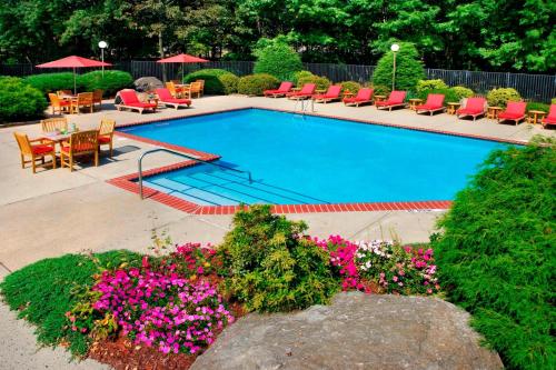Trumbull特朗布尔谢尔顿万豪酒店的一座带桌椅和鲜花的游泳池