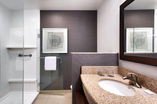 林垦林肯市中心万怡酒店的一间带水槽和淋浴的浴室