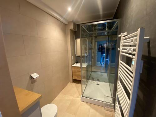 迪耶普Parc Beausejour Aparthotel的带淋浴和卫生间的浴室