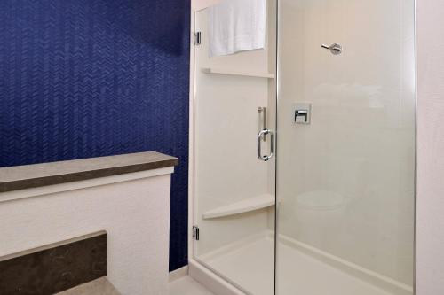 坎顿Fairfield Inn & Suites by Marriott Canton的带淋浴的浴室和玻璃门