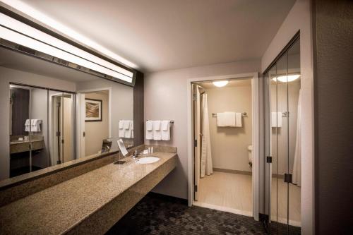 诺福克诺福克市中心万豪庭院酒店的一间带水槽和大镜子的浴室