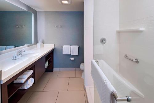 奥马哈西奥马哈万豪酒店的一间带水槽、卫生间和镜子的浴室