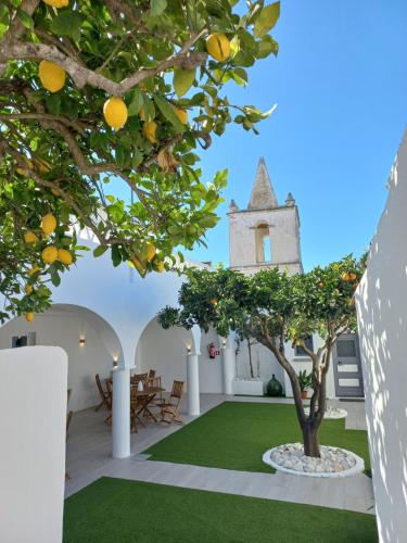 蒙萨拉什Casa Dona Antonia - Monsaraz的庭院里种着橘子树,还有教堂