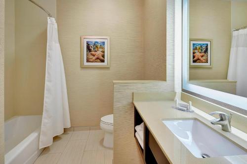 卡尔斯巴德圣迭戈卡尔斯巴德费尔菲尔德酒店的一间带水槽、卫生间和镜子的浴室