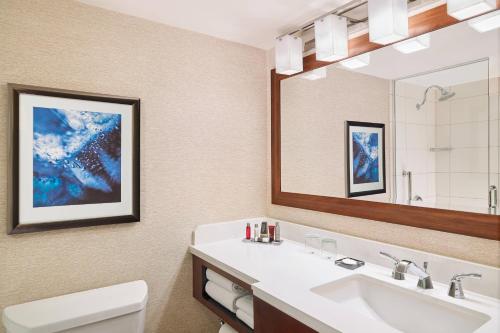 罗斯芒特Marriott Chicago O’Hare的一间带水槽和镜子的浴室