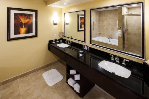 休斯顿休斯顿能源走廊万豪酒店的一间带两个盥洗盆和大镜子的浴室