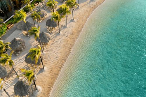 威廉斯塔德Renaissance Wind Creek Curacao Resort的享有棕榈树和水海滩的空中景致