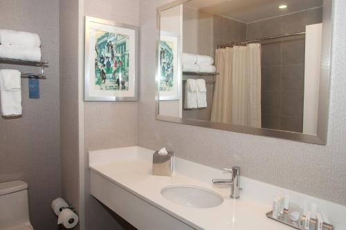 布鲁克林纽约布鲁克林万豪费尔菲尔德酒店及套房的一间带水槽、镜子和卫生间的浴室