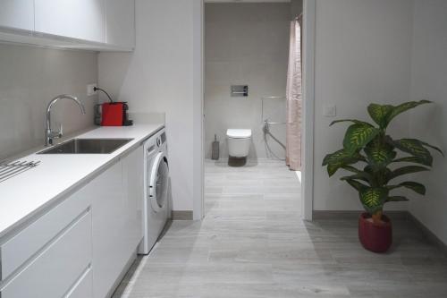 瓦伦西亚Mimi's Apartment in En Corts的白色的厨房,配有水槽和植物