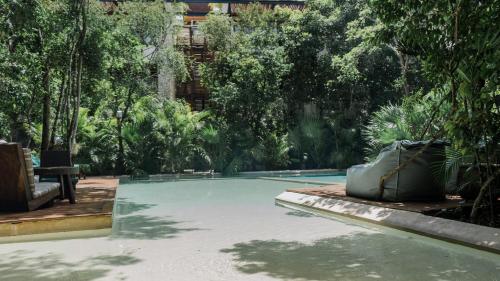 图卢姆Copal Tulum Hotel的花园内的游泳池