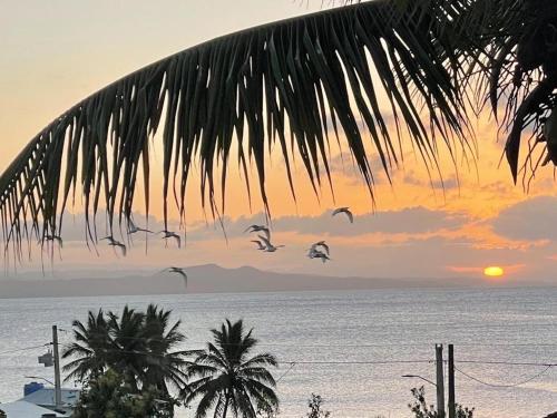 里奥圣胡安Apartamentos La Torre的一群鸟在日落时分飞越海洋