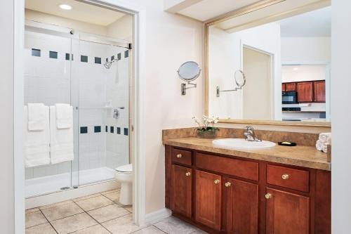圣露西港Sheraton PGA Vacation Resort Port St Lucie的一间带水槽和淋浴的浴室