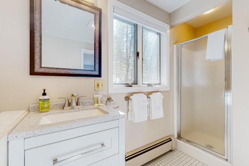 杰克逊Tin Mountain Treetops Time的白色的浴室设有水槽和淋浴。