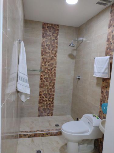 辛塞莱霍Casa España的一间带卫生间和淋浴的浴室