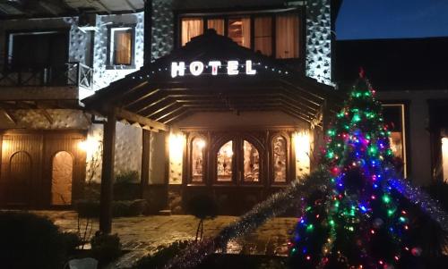 连科兰汗连科兰酒店的晚上在酒店前面的圣诞树