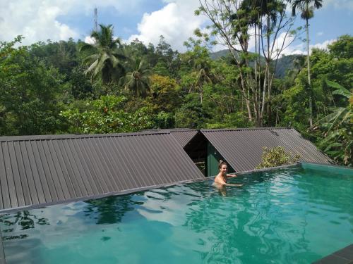 Rainforest Chalets - Rainforest Tours,Pool And Ac内部或周边泳池景观